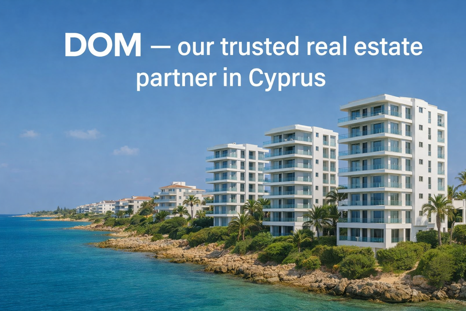 partner in Cyprus